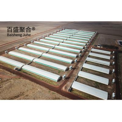 China Farrowing Crate Steel Structure for Modern Farm Pig House Shed Hog Cote Winery Pigsty for sale