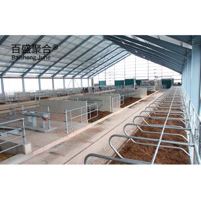 China Aluminum Alloy Window and Q345 Prefab Steel Cow Farm Building for Dairy Cow House for sale