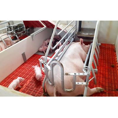 China Galvanized Pig Raising Equipment Prefab Steel Frame Sheds for Pig Farm Grade Steel for sale