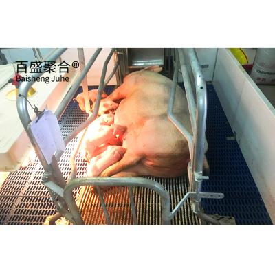 China High Tolerance Pig Feeder for Automatic Feeding System in Pig Farming Heavy Duty Design for sale