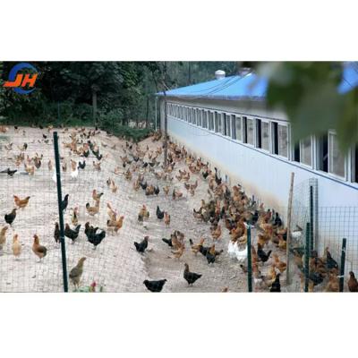 China ISO9001 2008/CE/BV Certified Modern Poultry Farm Light Steel Structure Chicken House for sale