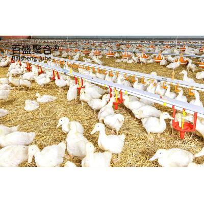 China Geflügelfarm-Käfigsystem für Broiler mit MTS-Zeichnung und Stahlqualität zu verkaufen