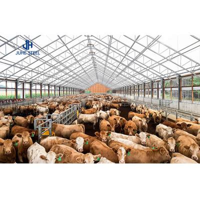 China Customized Size Steel Structure Design Livestock Farm Shed for Goat/Cattle Farms Building for sale