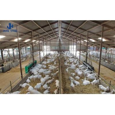 China Long-span Grid Structure Prefab Modern Greenhouse Shed for Broiler Chicken Farming for sale