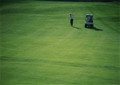 Cina Verdi mettenti di alto di resistenza all'abrasione di golf dell'erba del tappeto golf all'aperto artificiale della casa in vendita