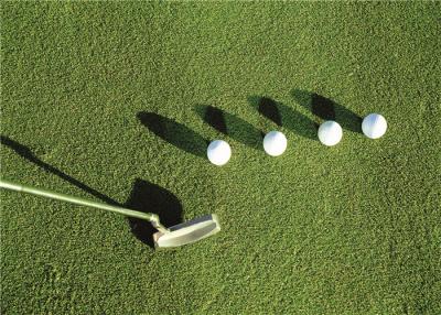 Cina Erba artificiale di golf di Autumn Spring Sport Putting Green con il pascolo del cuscinetto di scossa in vendita