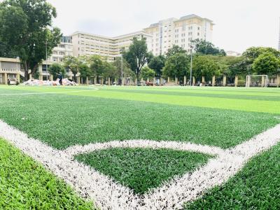 China Kunstmatige van het het Tapijt Synthetische Gras van het Grasgras Beste Kunstmatige Groene het Grasmat 70mm Te koop