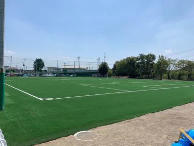 China Football Field Turf Football Field Artificial Turf Football Field Carpet Price for sale