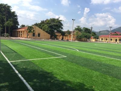 China PE Football Artificial Turf With Strong Stem Yarn And Strong Backing for sale