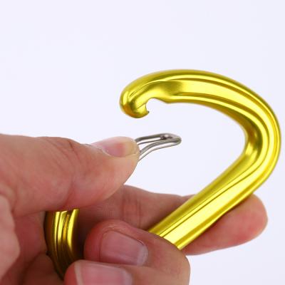 China Best Quality Low Price Durable Aluminum Key Chain D Climbing Ring For Rock Climbing Carabiner Clip Hook for sale