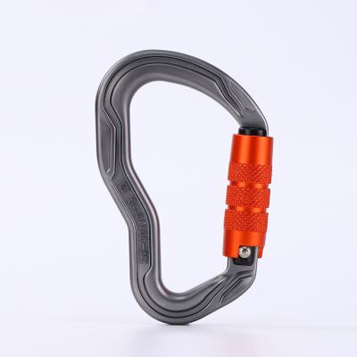 China Durable Customized Lock Hook Tool Buckle Carabiner D Hook Clip Sets For Climbing for sale