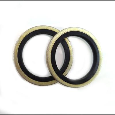 China Oil Resistance Standard or Non-Standard Sizes Galvanized Gaskets Metal Gaskets Dowty Gaskets Bonded Gaskets for sale