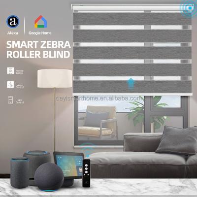 China Deyi Eco-Friendly Alexa Google Zebra Double Rolls Motorized Smart Blackout Roller Blinds for sale