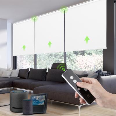 China Eco-friendly Deyi Smart Home 38mm Custom Made Roller Motor Blinds Window Shades for sale