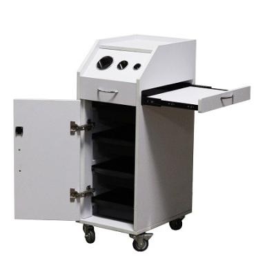 China Modern Professional Luxurious Hair Salon Trolley Lockable Trolley for sale