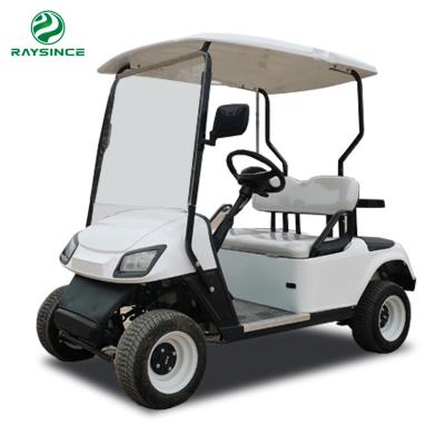 China China manufacture  supply electric golf cart cheap price beautiful design golf trolley electric with 2 seats for sale