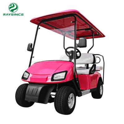 China Raysince factroy directly supply golf trolley electric 2 seats mini golf buggy good quality electric golf cart for sale