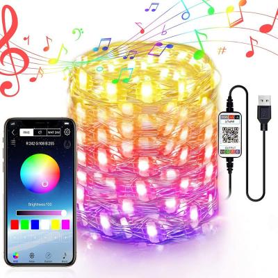 China APP Controlled Waterproof Smart RGB APP Controlled LED Copper Wire String Lights Christmas Lights For Tree Indoor Outdoor for sale