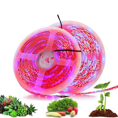 China Seed Seed Planting Waterproof Aquarium Greenhouse LED Plant Grow Lights Strip Lights For Indoor Plants for sale