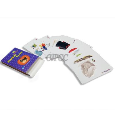 China Custom Printed Baby Education Baby Flash Cards Paper Milestone Paper Cards for sale