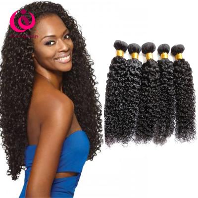 China Can be changed the design to any texture as you like Wholesale Price Unprocessed Mink Brazilian Hair Virgin Hair Weave Raw Afro Kinky Curly Hair Bundles Unprocessed Extension for sale