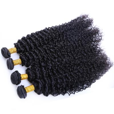 China Can be changed the design to any texture as you like ship Raw Mink Hair Virgin Hair Weave Burmese Curly Curly Hair Bundles Unprocessed Overnight Extension for sale