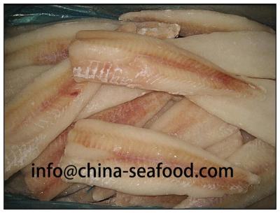 China 161115 Best Taste Hake Fillet Frozen Taste Alaska Pollock Fish Frozen loins best for sale