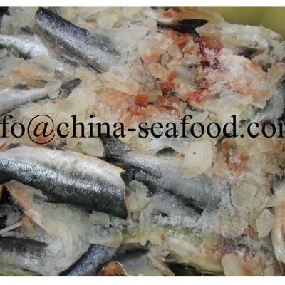 China IQF FROZEN Salmon Skin-on or Skinless Boneless Salmon 161117 from PBO or PBI for sale