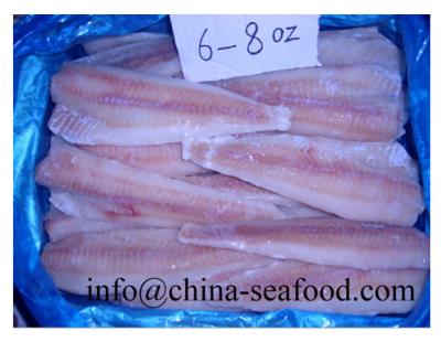 China FROZEN Frozen Alaska Pollock Fillet in Fish Alaska Pollock Fish 170613 for sale