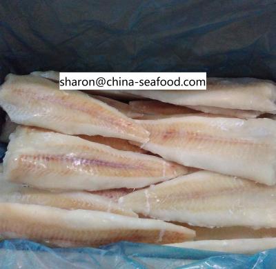 China FROZEN Alaska Pollock Fish Banded 5%/10%/20%/25%/30% Glazing for sale