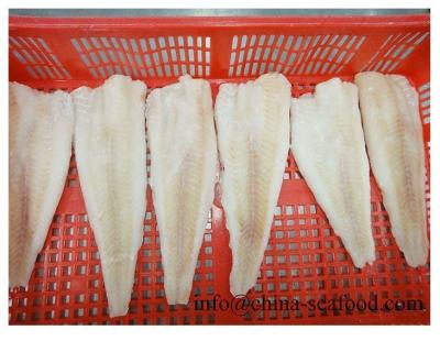 China FROZEN Frozen Alaska Pollock Fish Bandage Boneless and Skinless Bulk Packing 5-10kg/ctn for sale