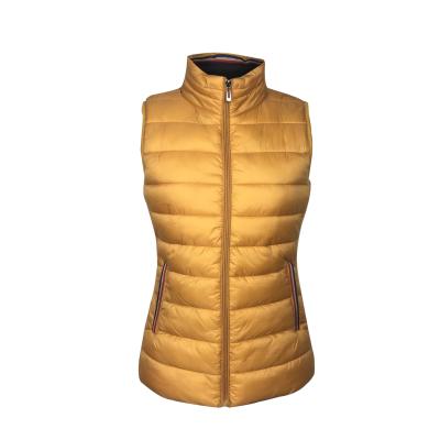 China Gold Winter Windproof Women Invest Sleeveless Plus Size Coats Casual Fashion Cotton Warm Vest for sale