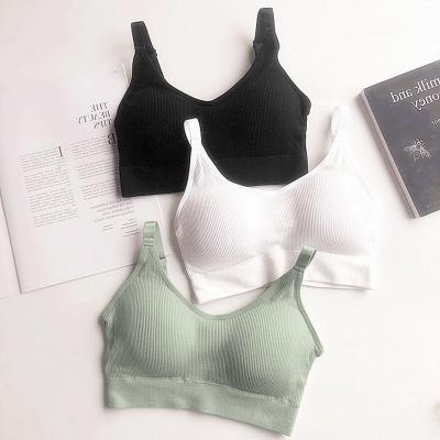 China Hot Sexy Girls Design Sports Bra Fitness Wear Breathable Plus Size Bra Breathable Bras For Fat Women for sale