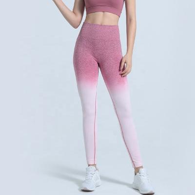 China Breathable Professional High Waisted Gym Clothing Fitness Leggings Women Seamless Custom Yoga Pants Gym Wear Factory Wholesale for sale