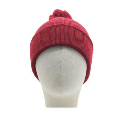 China Custom Logo Knit Pom Pom Winter Beanie Hats Cap Wholesale With Pom from COMMON 2021 for sale