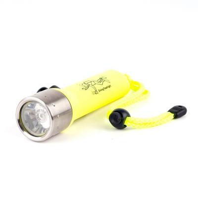 China High Quality Stainless Steel Camping Diving Flashlight Luminous Outdoor Portable Diving Torch Q5 for sale