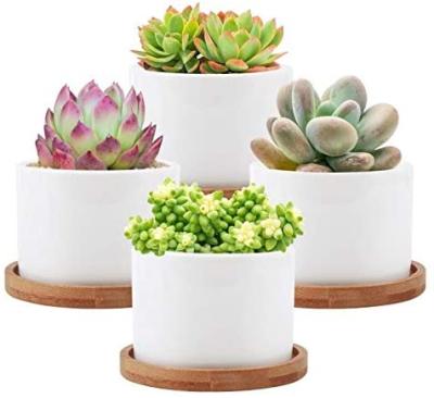 China Modern Succulent Plant Pots Small White Ceramic Flower Planters With Bamboo Tray And Drainage Holes for sale