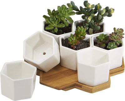 China 2.75 Inch Small Modern Indoor White Ceramic Hex Pots Mid Century Planter Cactus Flower Plant Succulent Pot With Bamboo Traycorations for sale