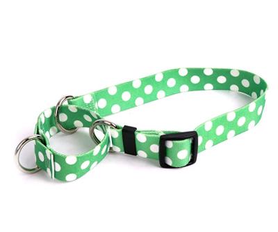 China Personalized Adjustable Dog Leash Advance Collar for Dog Pet Cage Leash for sale