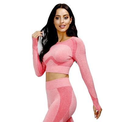 China Antibacterial Running Top T-Shirt Wicking Seamless Breathable Long Sleeve T-shirt Yoga Wear Women for sale