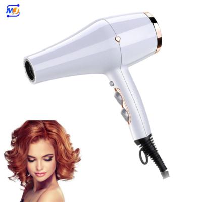 China Zkagile Ionic Professional Power Blower Machine AC Motor Low Noise Far Infrared Hair Dryer for sale