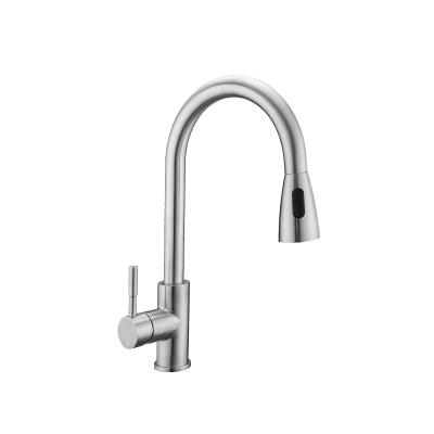 China Pull Out Gold Spray Brushed Nickel 304 Stainless Steel Kitchen Sink Pull Out Spray Kitchen Faucet for sale