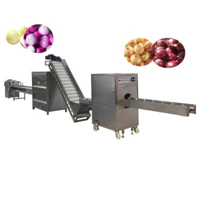 China Factory Dy Automatic Onion Top And Tail Cutting Machine Onion Peeling Machine For Sale for sale