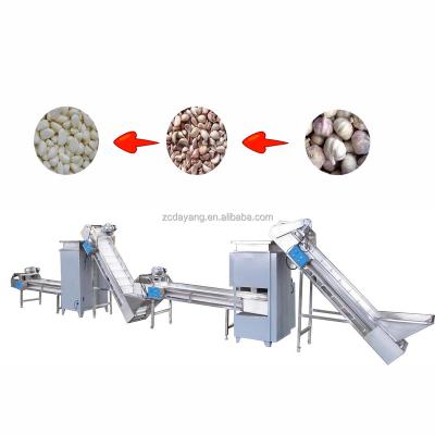 China Food Processing Machine Vertical High Speed ​​Automatic Dy Garlic Dry Separating Peeled Garlic Machine for sale