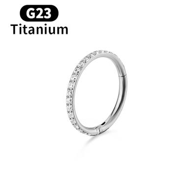 China Punk Titanium G23 Circle Piercing Zircon Hinged Segment Nose Ring Clicker Septum Rings Ear Daith Helix Cartilage Body Jewelry for sale