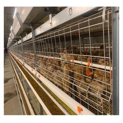 China MU TONG Stepped Automatic Four-Layer Brood Farms Cage Factory Direct Sales for sale