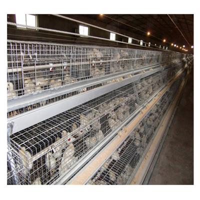 China Poultry Farming Broiler Cage Chicken Cage Breeding Cage MU TONG Ladder Wholesale Discount Price for sale