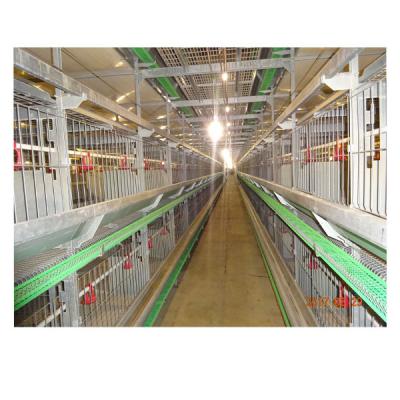 China 2021 Full Automatic Farms MU TONG Ladder Breeder Cage Chicken Equipment New Dedicated for sale