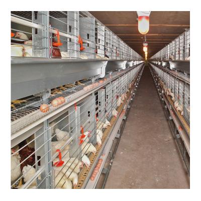 China Poultry Farm Chicken Cages Matched With Whole System Chicken Farm Equipment for sale