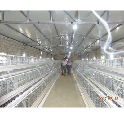 China Chicken Farm MU GRIPPER A Type Layer Chicken Cages For Modern Fully Automatic Poultry Farms for sale